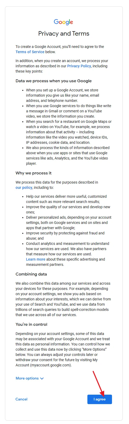 Click on the I agree button to accept the Google Privacy and Terms.