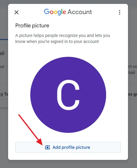 Click on the Add profile picture button.