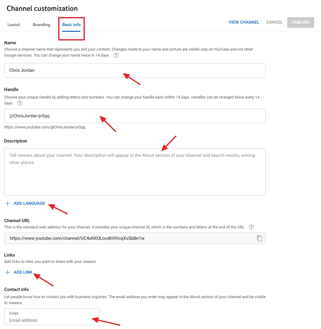 Provide the Basic info of your YouTube channel such as Channel Name, Handle Name, Description, Language, and email.