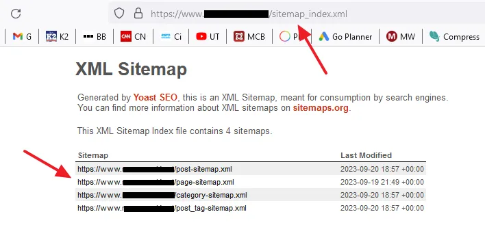 You can see that the XML sitemaps of your WordPress website. The main sitemap URL will be like this: https://your_domain_name/sitemap_index.xml.