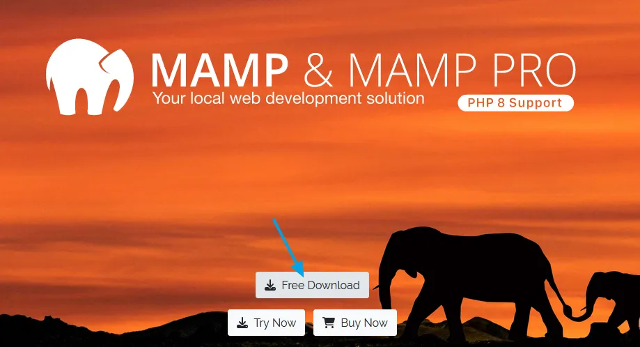 Go to MAMP Download Page for Windows. Click on the Free Download button.