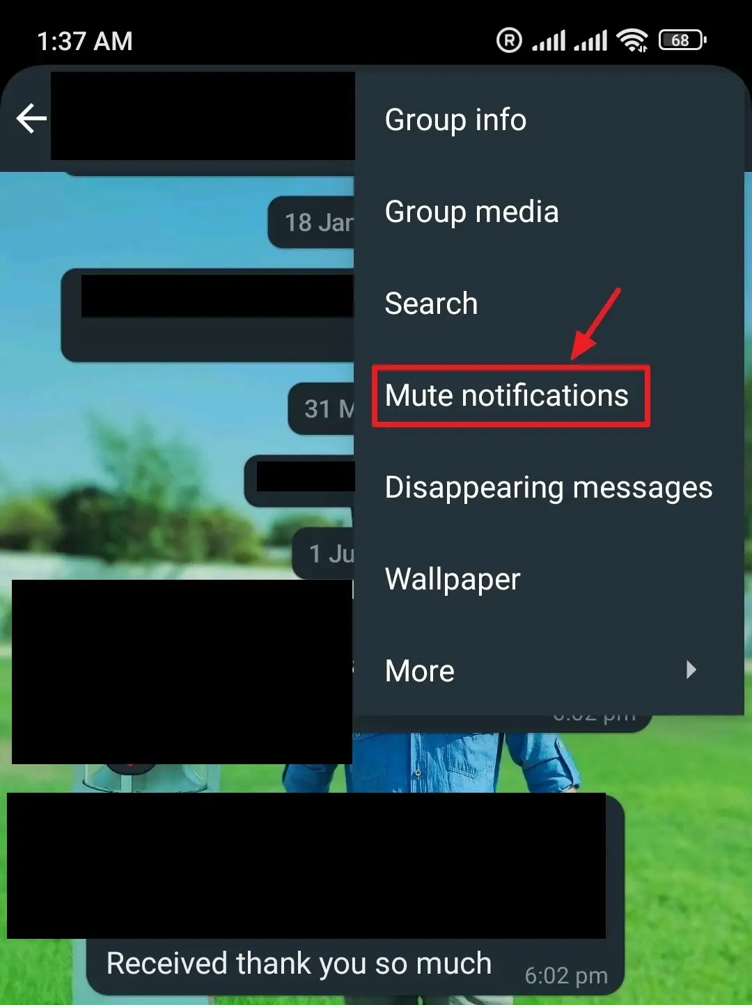 Tap on the Mute notifications.