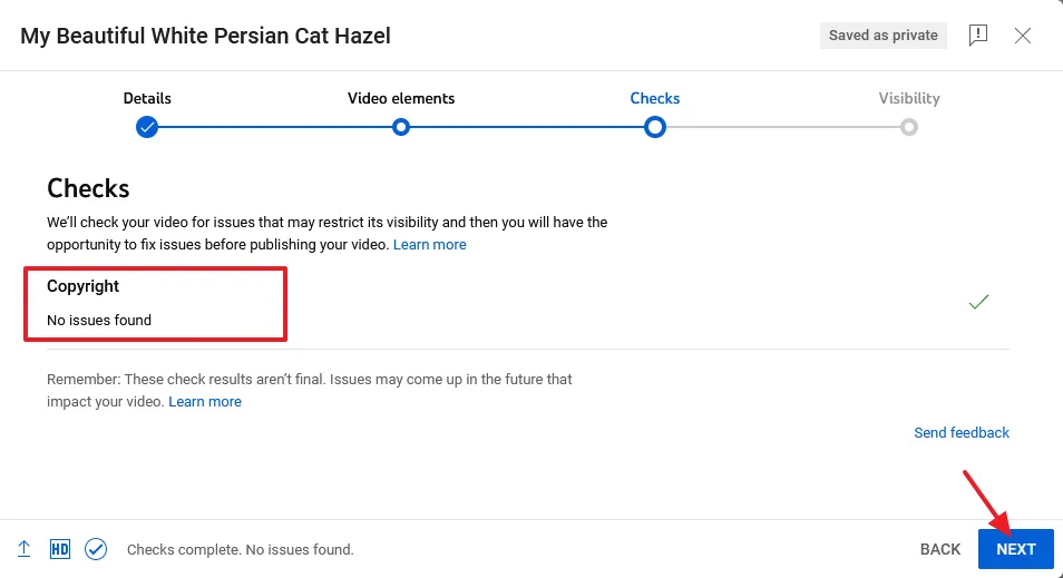 YouTube checks for issues related to copyright. If found it may suggest you to fix the issue.