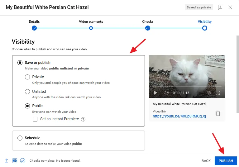 Visibility Options on YouTube such as Private, Public, Unlisted, Schedule.