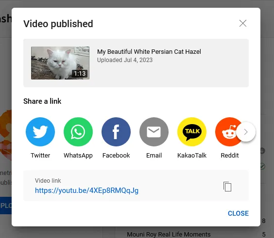 The YouTube video is published. You can share the video link on other media platforms such as Twitter, WhatsApp, Facebook, Talk, etc.