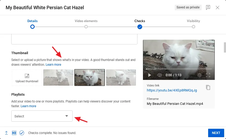 Upload your video thumbnail and add your video to the playlists.