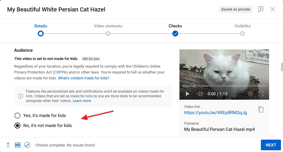 Choose whether your video is made specifically for kids or not. If the video is made for all age groups select No, it's not made for kids.