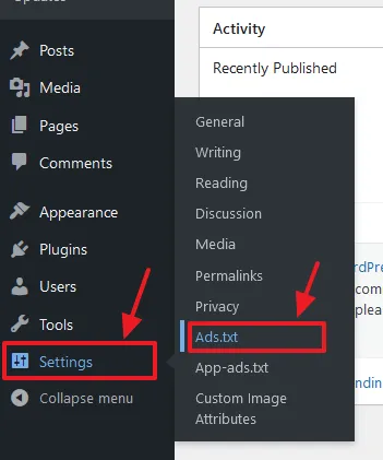 Go to Settings from WordPress Sidebar. Click on the Ads.txt.
