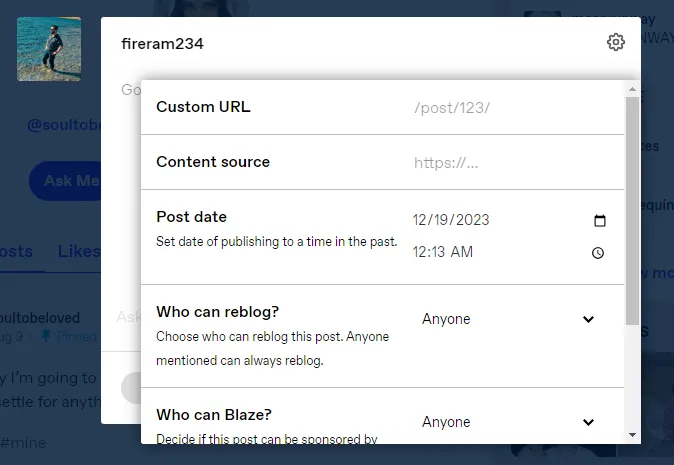 Tumblr Post Settings on Post Editor