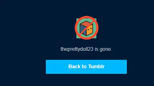 Your secondary Tumblr blog will be deleted.  