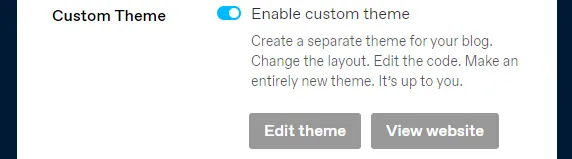Once enabled, you can see the Edit theme and View website buttons. 