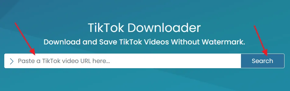 Open the SaveTT website. Paste the URL of the TikTok video. Click on the Search button.