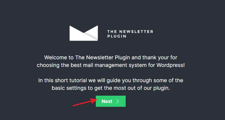 The Newsletter Plugin is installed successfully. Click on the Next button. 