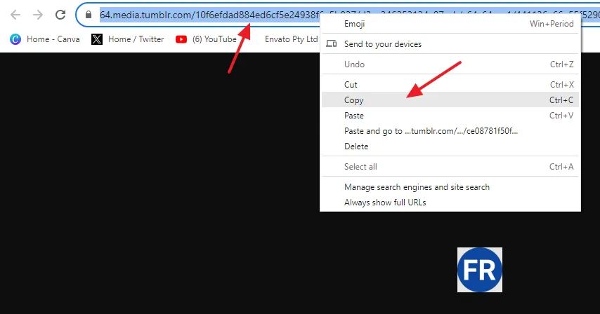 Select the URL of the favicon on Address Bar. Right-click on it and click on the Copy.