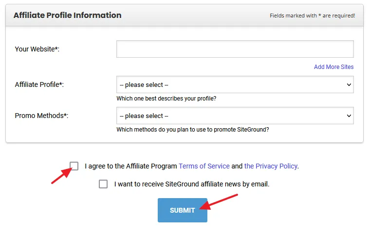 Fill the Affiliate Profile information such as Website URL, Affiliate Profile, and Promo methods. Click on the Submit button.