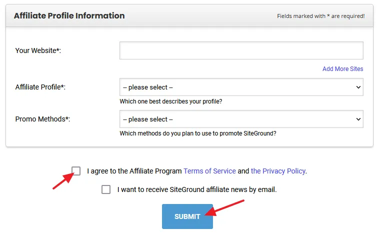 Fill the Affiliate Profile information Fill the Affiliate Profile information such as Website URL, Affiliate Profile, and Promo methods. Click on the Submit button.