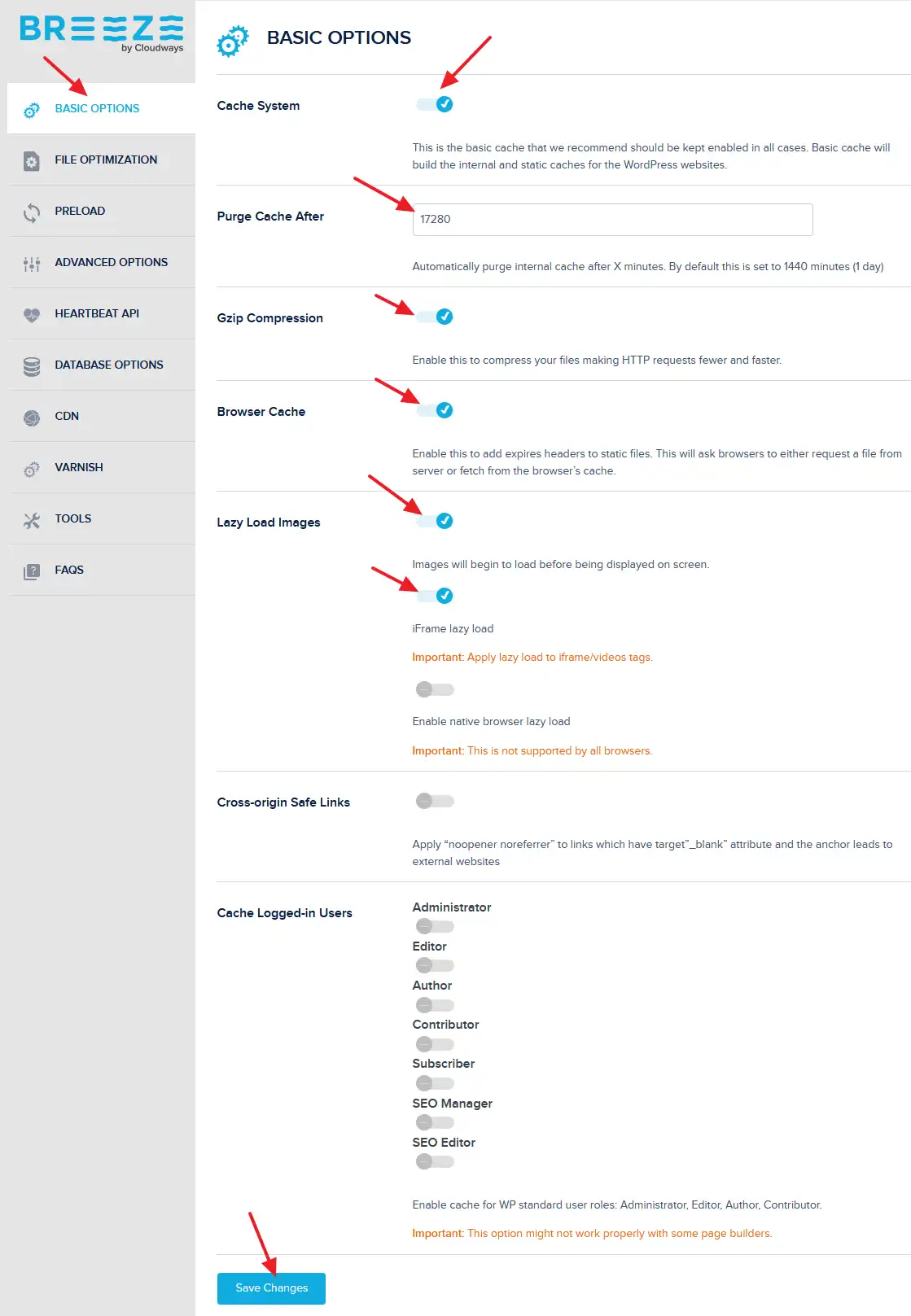 Enable Cache System, GZip Compression, browser Cache, Lazy Load Images, and click on the Save Changes button.