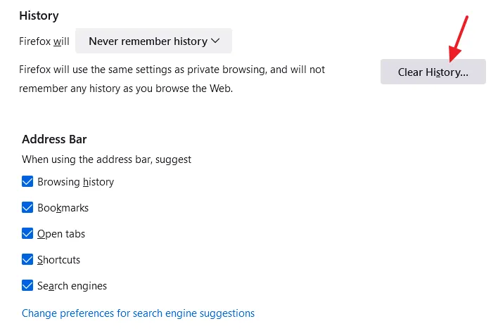 Scroll-down to History section. Click on the Clear History... button.