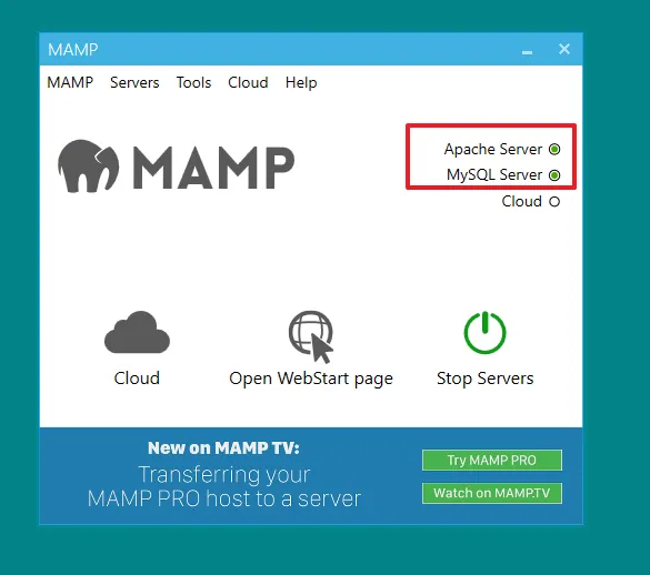 Run your MAMP Server. The signals of Apache Server and mySQL Server should be green. 