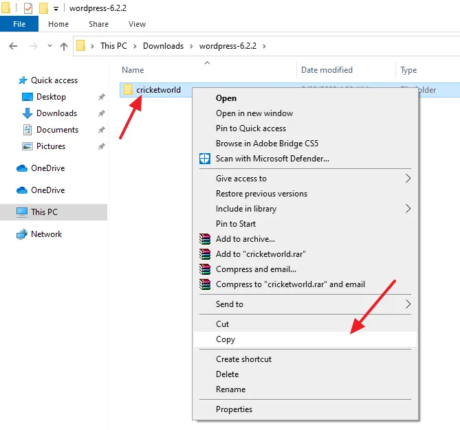 Right-click on the WordPress folder and click on the Copy.