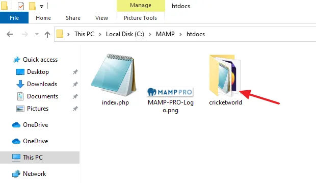 Paste the copied folder in the htdocs directory.