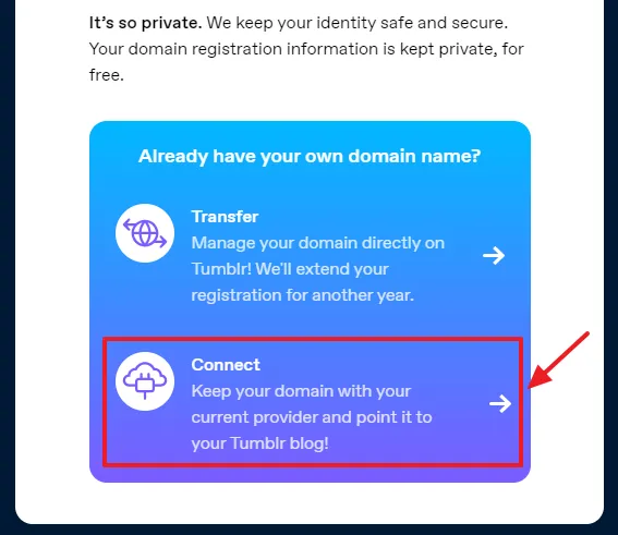 Click on the Connect that says, "Keep your domain with your current provider and point it to your Tumblr blog!".