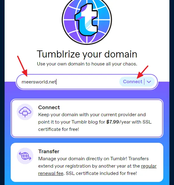 Enter your custom domain and click on the Connect.