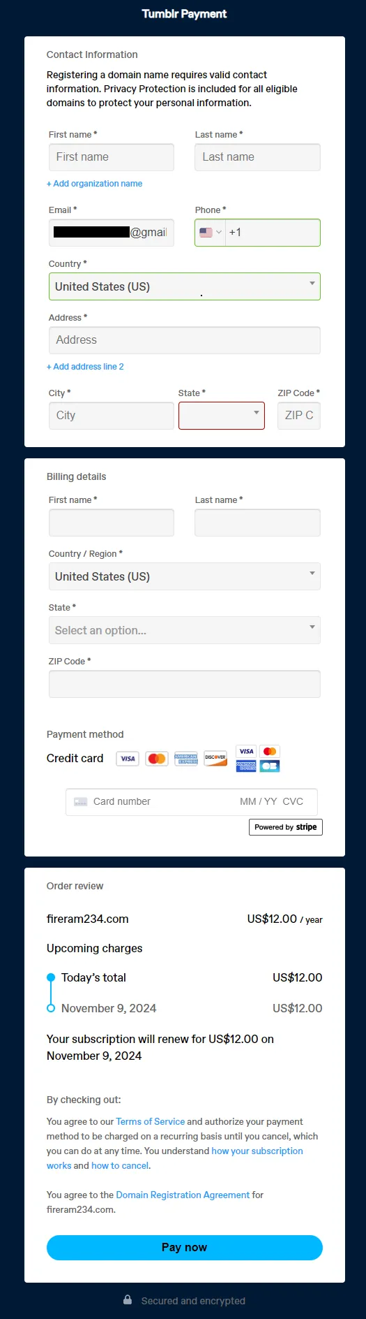 Provide your Contact Information, Billing Details, and Payment Details.  Click on the Pay now button.