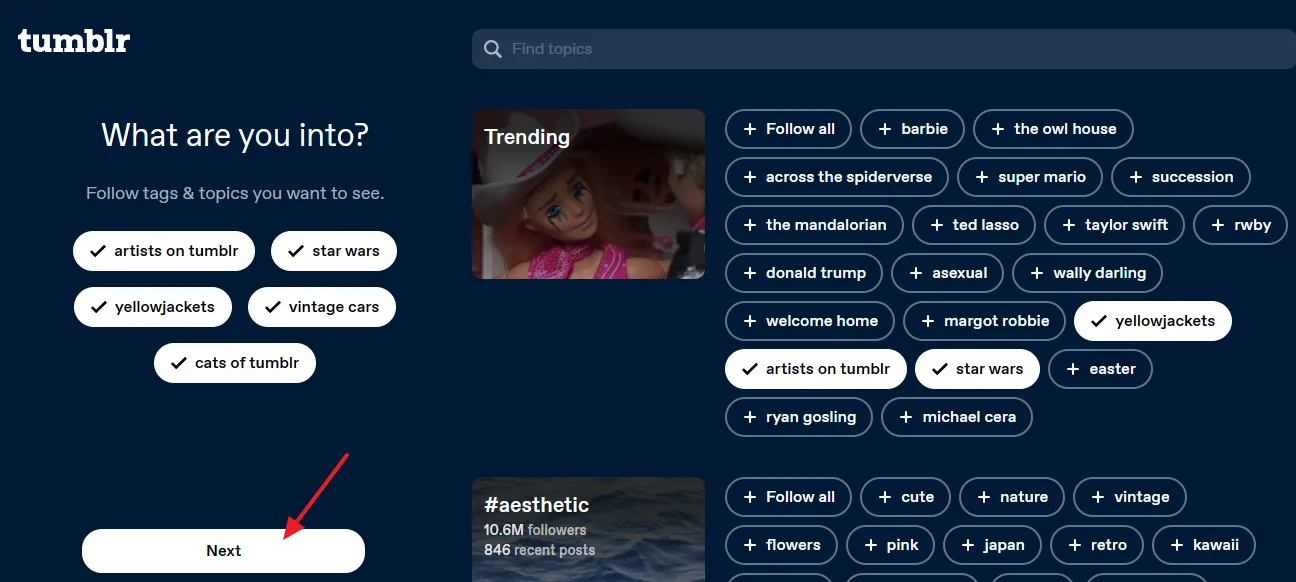 Follow at least 5 tags and topics that you want to see on your Tumblr dashboard. Click on the Next button.