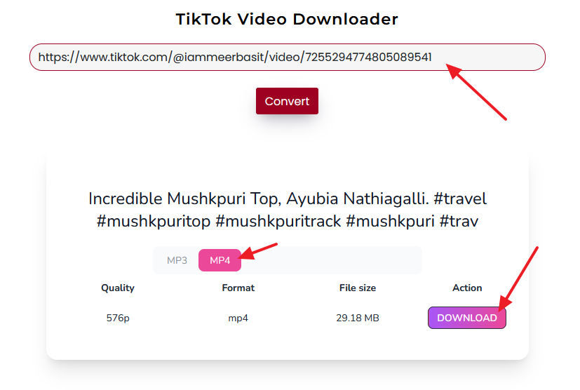 Open the HeatFeed site. Copy and Paste the URL of the TikTok video that you want to download without watermark. Click on the Convert button. Choose MP$ format and Click on the DOWNLOAD button. 